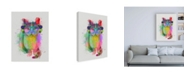 Trademark Global Fab Funky Cat Rainbow Splash 6 Canvas Art - 36.5" x 48"